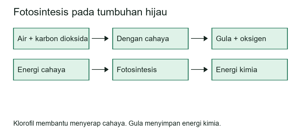 Bagan bahan, energi, dan hasil fotosintesis